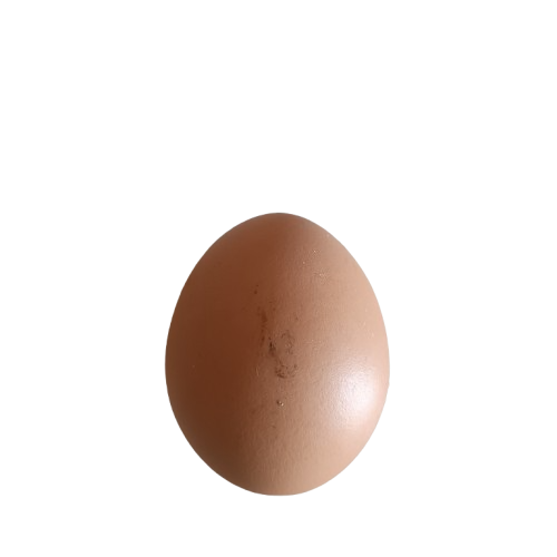 Egg