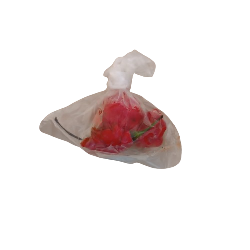 Pepper (ata rodo)
